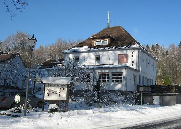 盖斯托斯乐巴克沃尔德酒店 Laubach (Giessen)