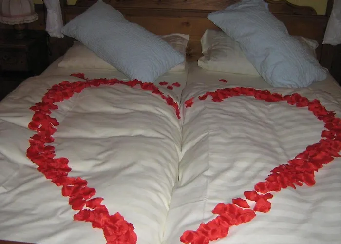 盖斯托斯乐巴克沃尔德酒店 3*